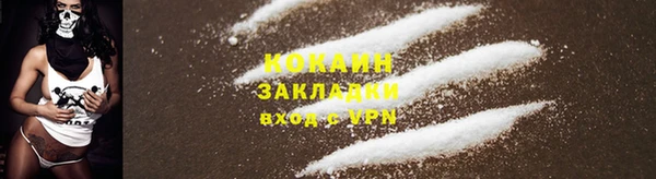 мескалин Богородицк