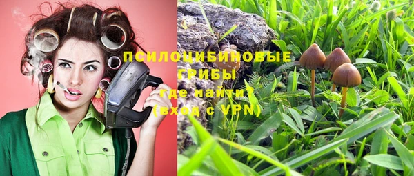 гашишное масло Богданович