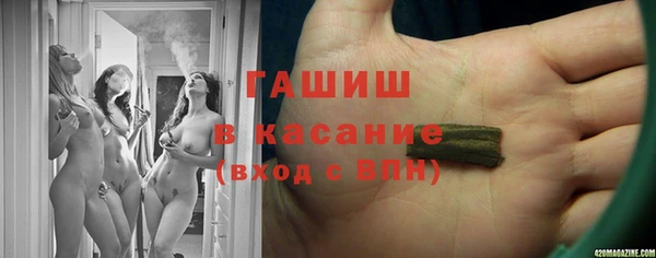 индика Струнино