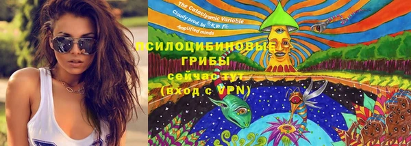 дмт Сосновоборск