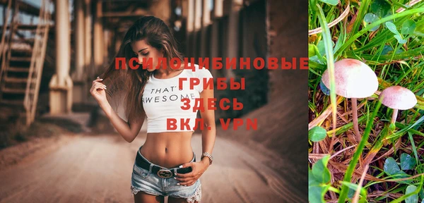 а пвп мука Богородск